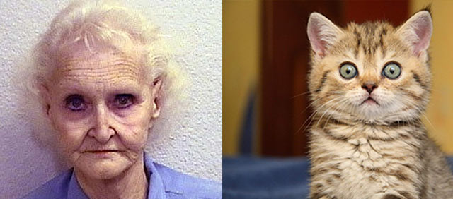 death-row-inmate-kitten
